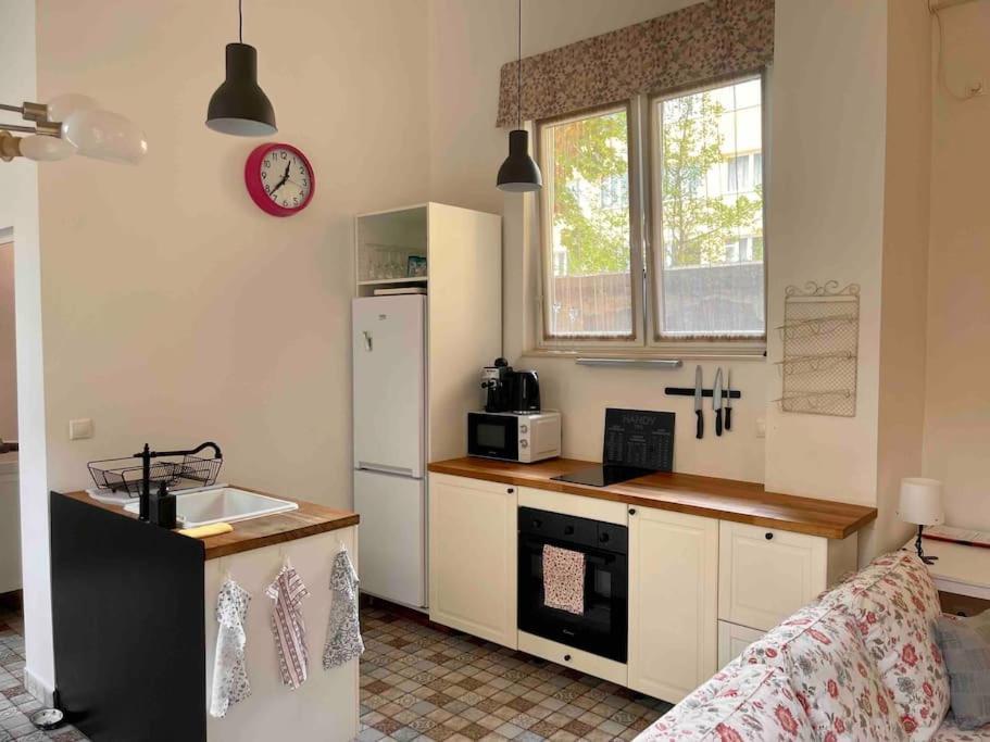 Knezits Spacious Ac Terrace Free Parking บูดาเปสต์ ภายนอก รูปภาพ